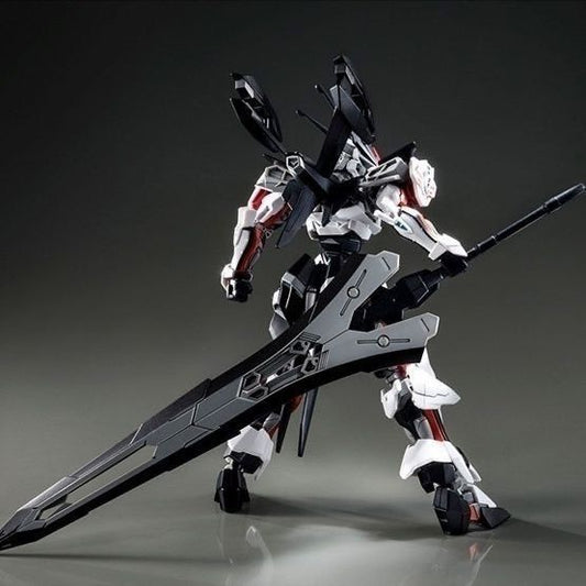 Premium Bandai HG 1/144 Load Omega Astray