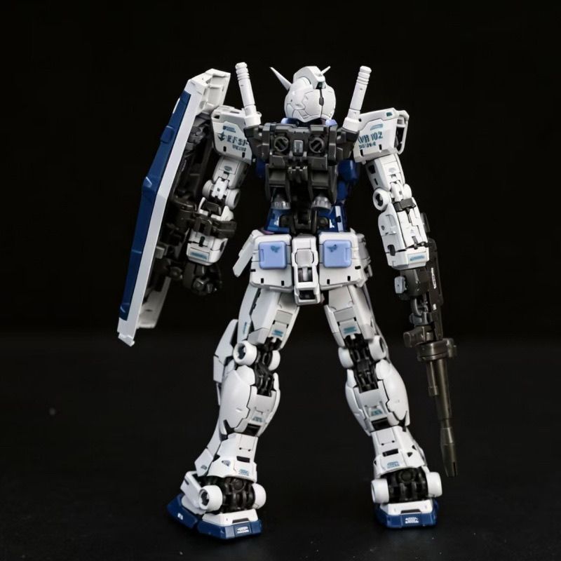 Panda Model 1/100 RG 2.0 with LED and Maintenance Mode Limited Color Ver