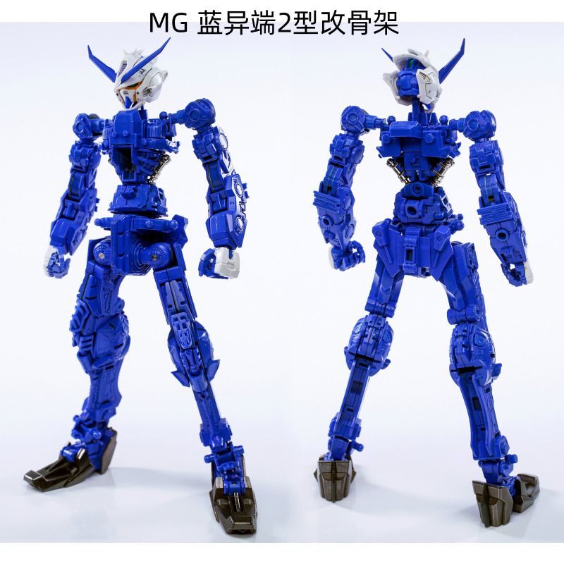 EW MG Astray 1/100 Metal Frame