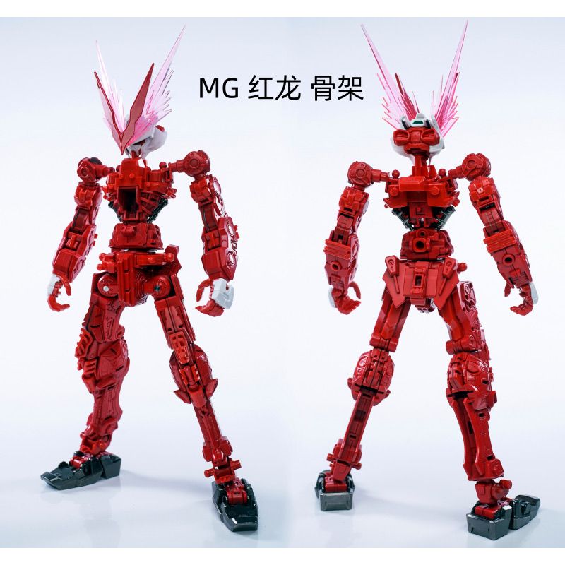 EW MG Astray 1/100 Metal Frame