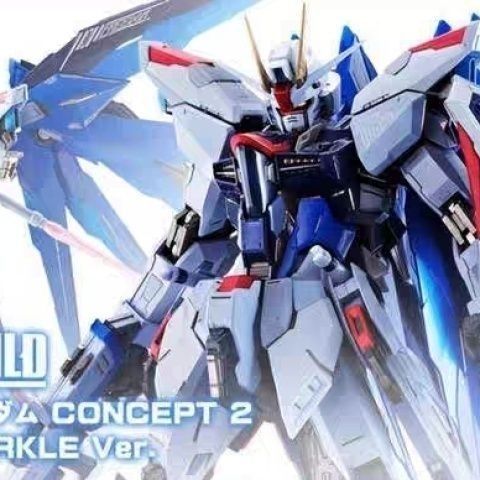 BANDAI Tamashii Nation 2023 Limited Metal Build Freedom Gundam CONCEPT 2 SNOW SPARKLE