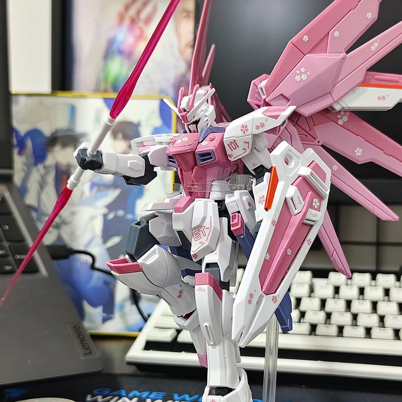 JMS HG 1/144 Freedom Gundam Sakura Ver