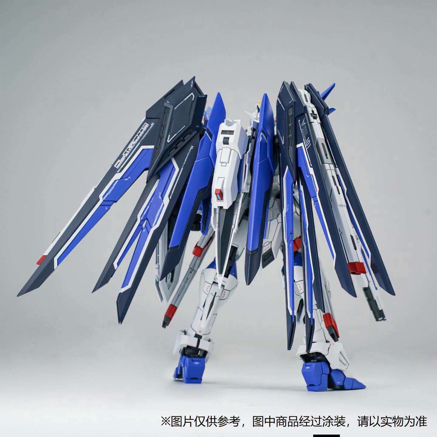 Shenma 1/100 GK Style Rising Freedom