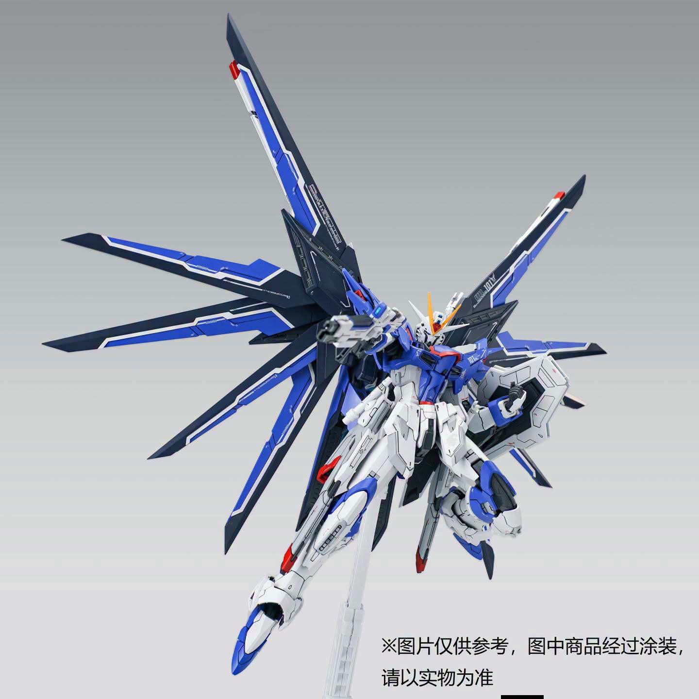 Shenma 1/100 GK Style Rising Freedom