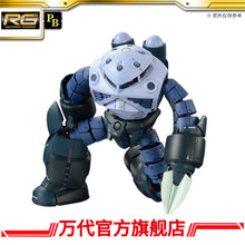 Premium Bandai RG 1/144 Z'Gok Mass Production Type Model Kit