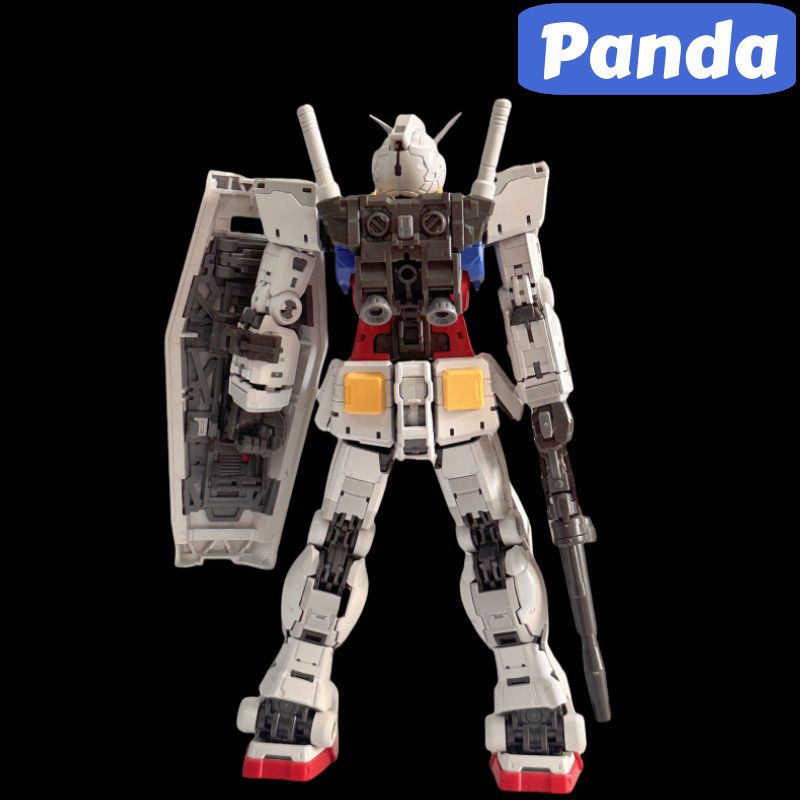 Panda Model 1/100 RG 2.0 with LED and Maintenance Mode