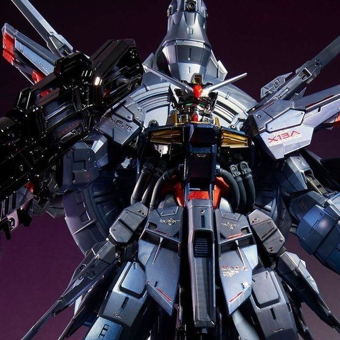 Premium Bandai MG 1/100 Providence Gundam Special Coating – Fuwa