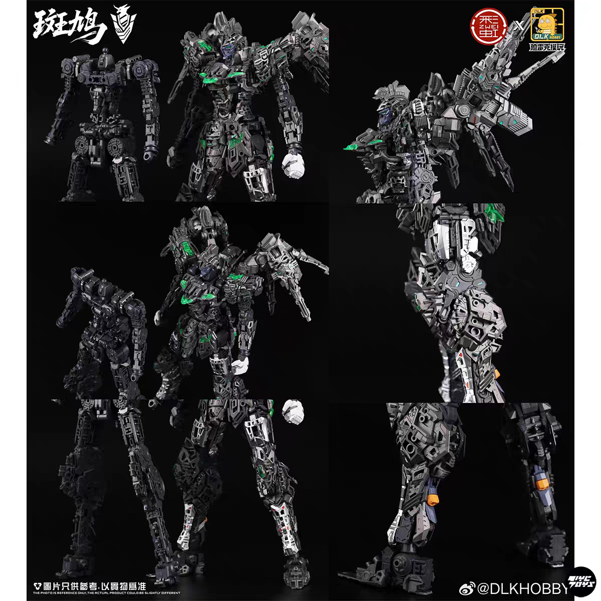 DLK Hobby 1/100 Ban Jiu Dove Model Kit