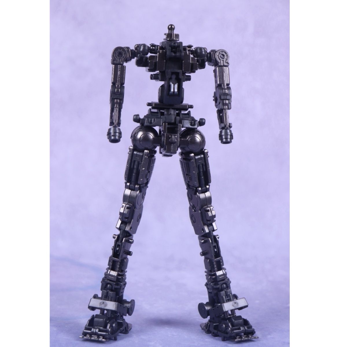 Phantom Model 1/100 Metal Frame GM VN003/VN004
