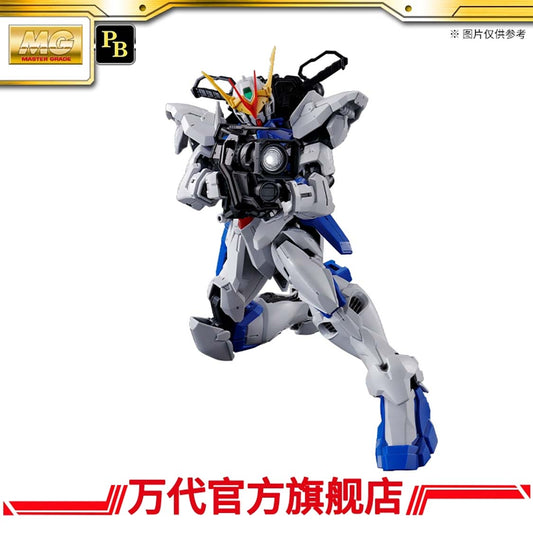 Premium BANDAI MG 1/100 Gundam Astray Out Frame D