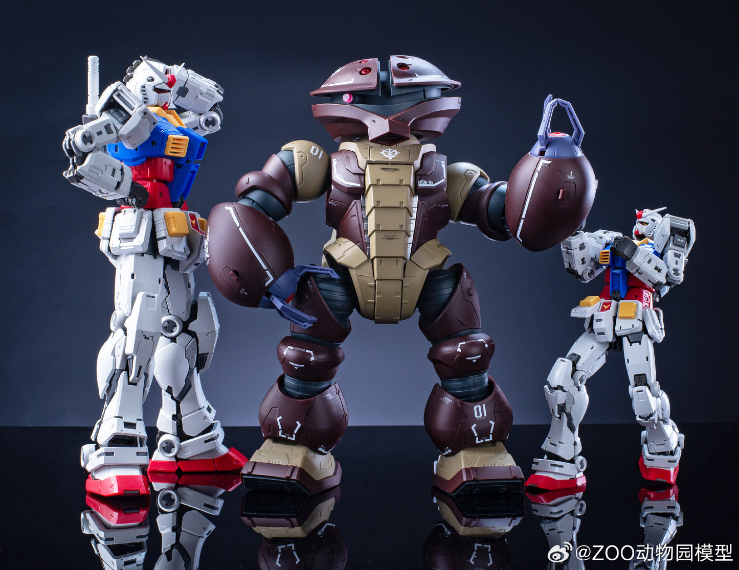 Zoo Model 1/100 Thunderbolt Acgguy