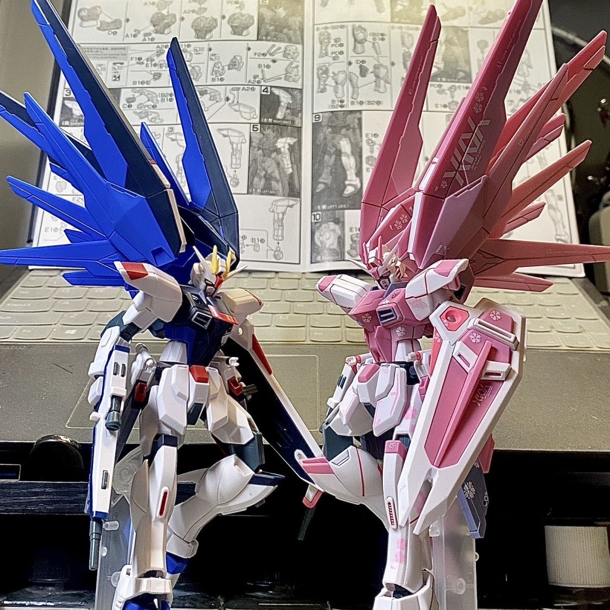 XD HG 1/144 Freedom Gundam Sakura Ver