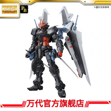 Premium Bandai MG 1/100 Gundam Astray Noir