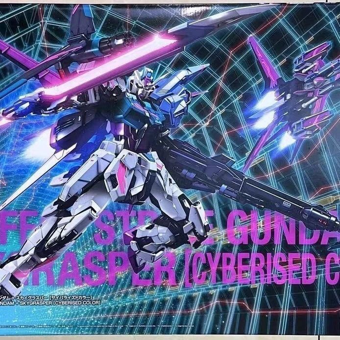 Bandai China Limited PG 1/60 Strike Gundam Cyberized Version